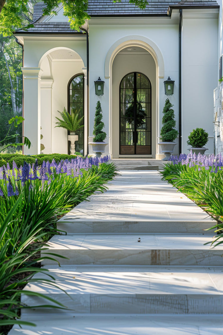 Super Blue Liriope Muscari - Live Plants - Evergreen Ground Cover Grass